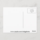 Phillips bedekte brug briefkaart (Achterkant)