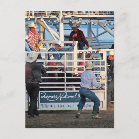 Phillipsburg, Kansas Rodeo 2007 Briefkaart (Voorkant)