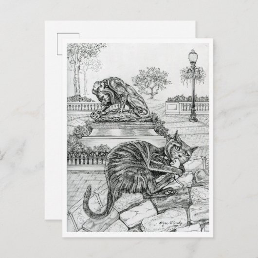 Philly Cat in het Rittenhouse Briefkaart (Voorkant / Achterkant)