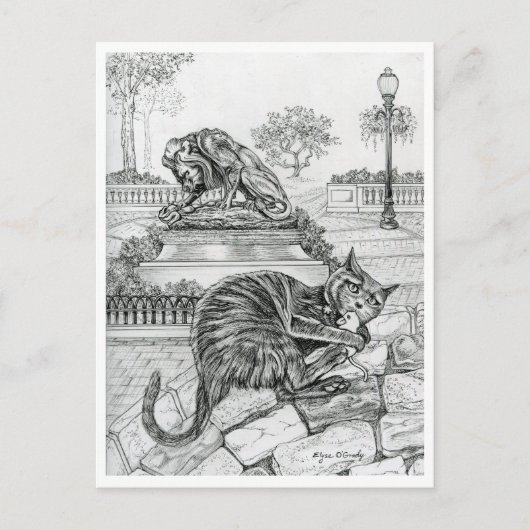 Philly Cat in het Rittenhouse Briefkaart (Voorkant)