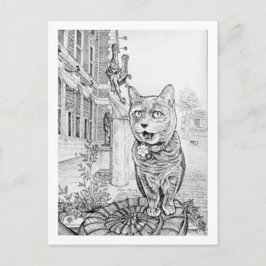Philly Cat near Academy of Natural Sciences  Briefkaart (Voorkant)