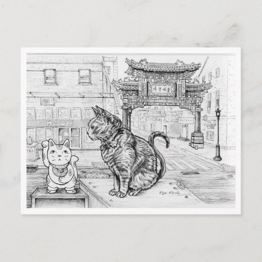 Philly Kat in Chinatown Briefkaart (Voorkant)
