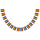 Philly Regenboog Pride Vlag Vlaggetjes (Alle)