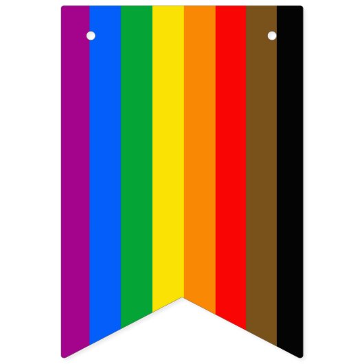Philly Regenboog Pride Vlag Vlaggetjes (Tweede vlag)