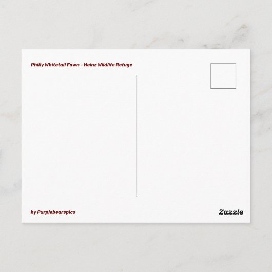 Philly Whitetail Fawn Briefkaart (Achterkant)