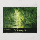 Phinizy Swamp Augusta Georgia Verenigde Staten Briefkaart (Voorkant)