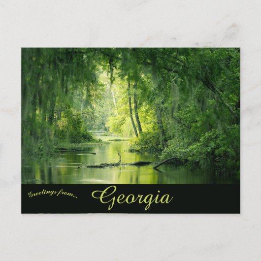 Phinizy Swamp Augusta Georgia Verenigde Staten Briefkaart (Voorkant)