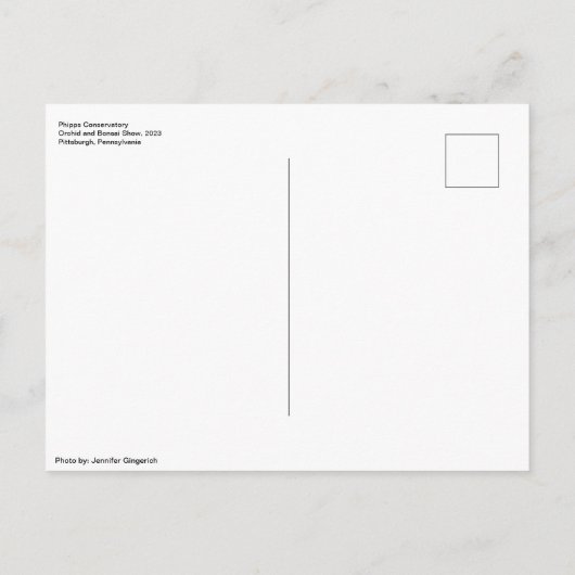 Phipps Conservatory Bonsai Tree Briefkaart (Achterkant)