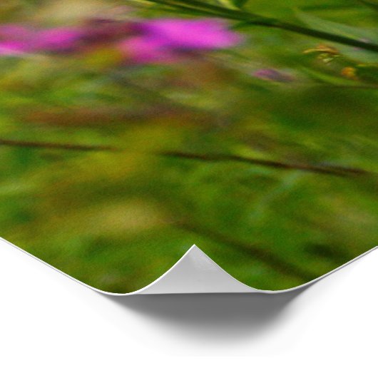 Phlox bij een begraafplaats poster (Hoek)