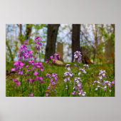 Phlox bij een begraafplaats poster (Voorkant)