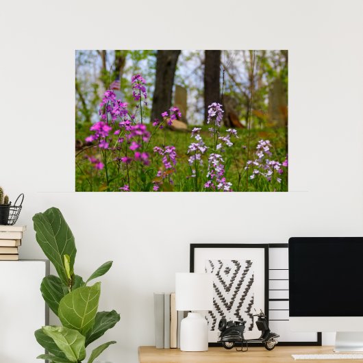 Phlox bij een begraafplaats poster (Thuiskantoor)