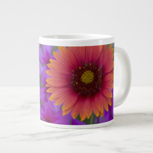 Phlox en Indian Blanket bij Devine Texas Grote Koffiekop