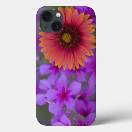 Phlox en Indianen-deken bij Devine Texas Case-Mate iPhone Case (Achterkant)