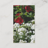 Phlox Hibiscus Flower Garden Natuur Visitekaartje (Achterkant)