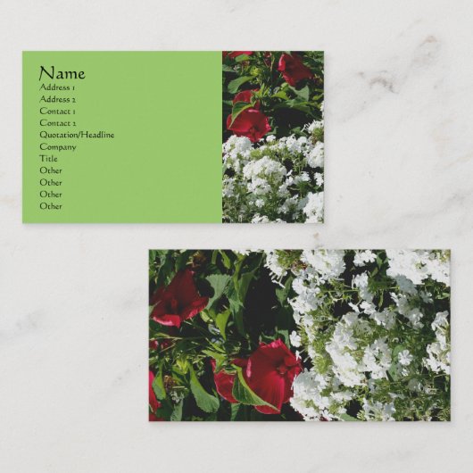 Phlox Hibiscus Flower Garden Natuur Visitekaartje (Voorkant / Achterkant)