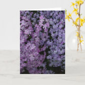 Phlox in overvloed kaart (Gele Bloem)