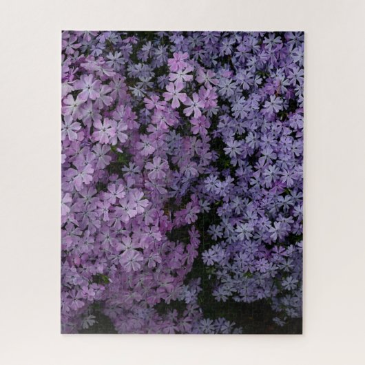 Phlox in overvloed legpuzzel (Verticaal)