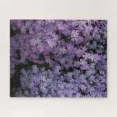 Phlox in overvloed legpuzzel (Horizontaal)