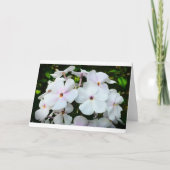 Phlox, Kaart (Voorkant)