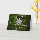 Phlox-kaart Kaart (Gele Bloem)