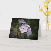 Phlox-kaart Kaart (Gele Bloem)