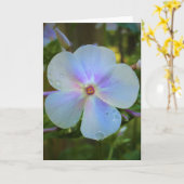 Phlox-kaart Kaart (Gele Bloem)