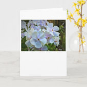 Phlox-kaart Kaart (Gele Bloem)