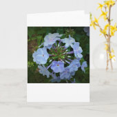 Phlox-kaart Kaart (Gele Bloem)