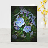 Phlox-kaart Kaart (Gele Bloem)