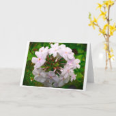 Phlox-kaart Kaart (Gele Bloem)