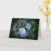 Phlox-kaart Kaart (Gele Bloem)