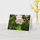 Phlox-kaart Kaart (Gele Bloem)