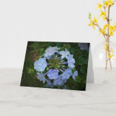 Phlox-kaart Kaart (Gele Bloem)