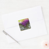 Phlox op stenen Sticker (Envelop)