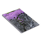 Phlox op Stone Wall Notitieboek (Rechterzijde)