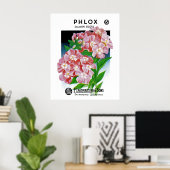 Phlox Poster (Thuiskantoor)