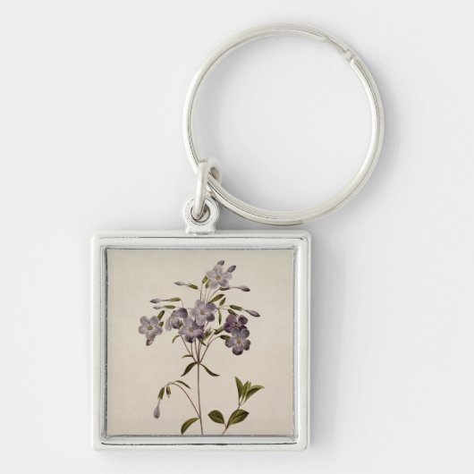 Phlox reptans sleutelhanger (Voorkant)