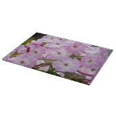 Phlox, Roze Bloem Fotografie Snijplank (Hoek)