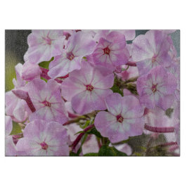 Phlox, Roze Bloem Fotografie Snijplank