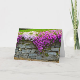 Phlox Stone Wall Notecard Kaart