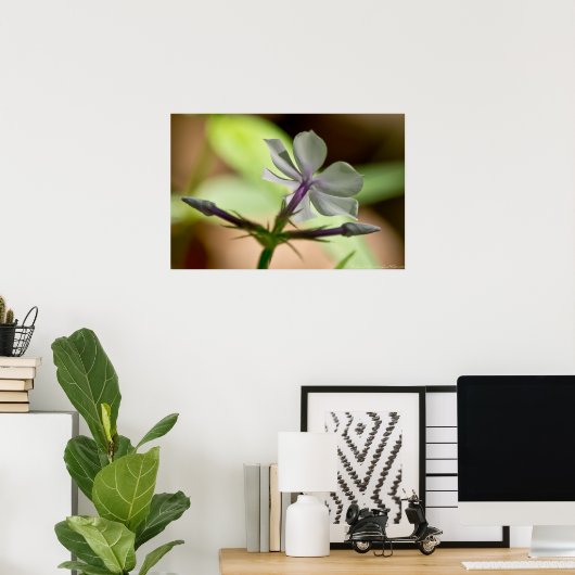 Phlox Wilde Poster (Thuiskantoor)
