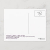 Phnom Penh, Cambodja Briefkaart (Achterkant)