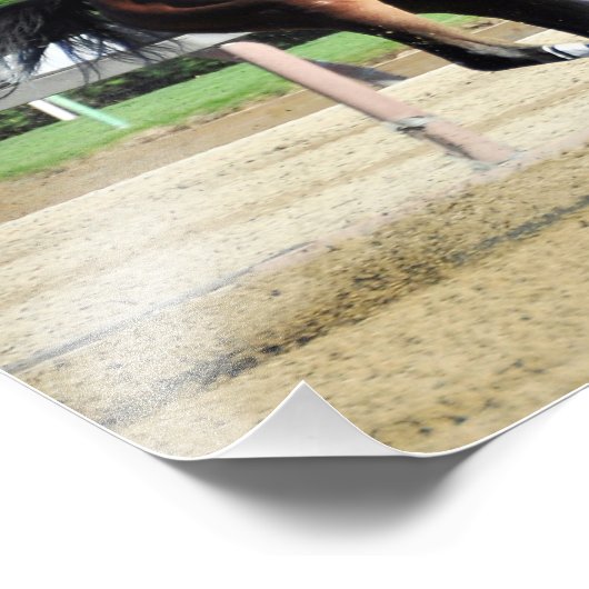 Phocea met Irad Ortiz Jr. Foto Afdruk (Hoek)