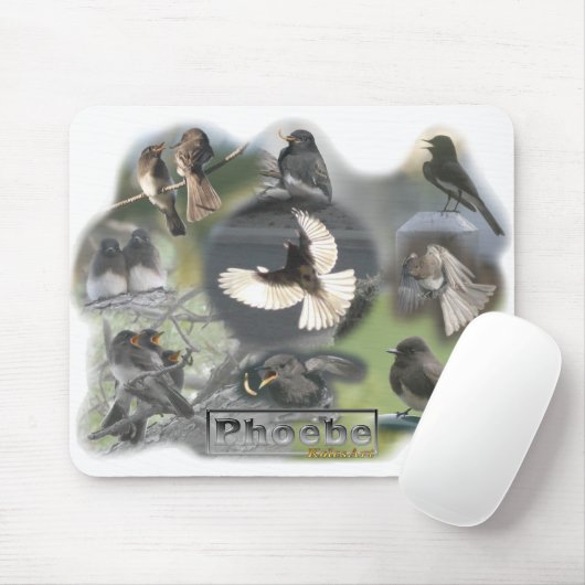 Phoebe Birds Foto Collage Muismat (Met muis)