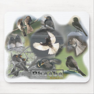 Phoebe Birds Foto Collage Muismat