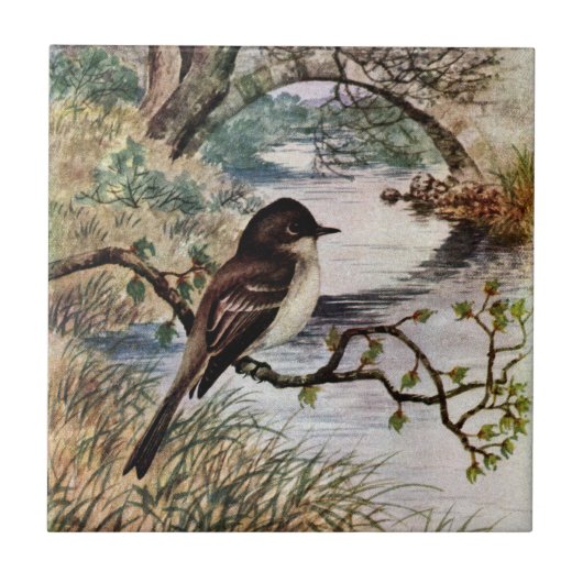 Phoebe en Stone Bridge over Creek Tegeltje (Voorkant)