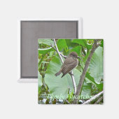 Phoebe Flycatcher Magnet (Voorkant / Achterkant)