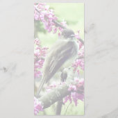 Phoebe in een Judasboom Menu (Achterkant)