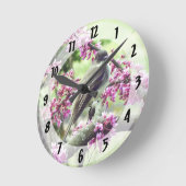 Phoebe in een Redbud-boom Ronde Klok (Hoek)