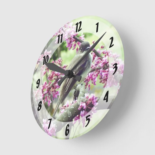 Phoebe in een Redbud-boom Ronde Klok (Hoek)